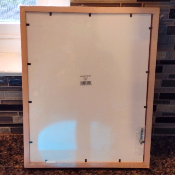 *BOGO* NWT Shadow Box Ash collectibles crafts memorabilia dried flowers frame - Picture 4 of 6